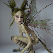 salem heath114 singles