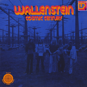 Song Of Wire by Wallenstein