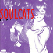Soulcats – Live