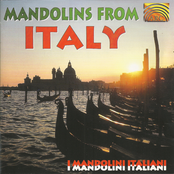 Mandolins From Italy