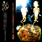 Skin Graft/Dim Dusk Moving Gloom split c32 (Rainbow Bridge)