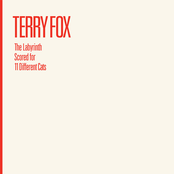 The Labyrinth Scored for 11 Different Cats