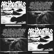 Slaughter-Extinction / Ucuz Can Pazarı