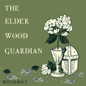 The Elderwood Guardian
