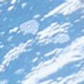 hey im blooping here