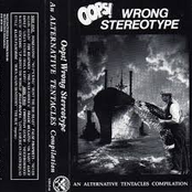 Oops! Wrong Stereotype