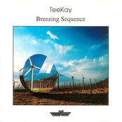 Travelling Tune by Teekay