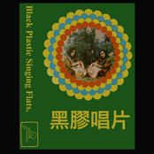 Black Plastic Singing Flats