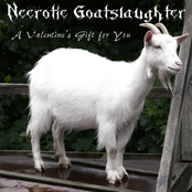 A Valentine's Gift for You
