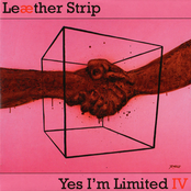 Yes, I'm Limited IV