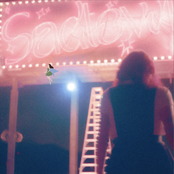 Carol Ades: Sadtown USA