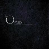 The Journey Towards the Paths of Light