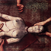 Grotesque Jigsaw