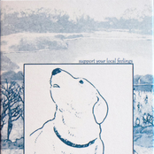 Support Your Local Feelings