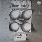 Seasons Of Life by Satin Whale