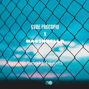 Bright Nights (feat. Marshmello) - Single