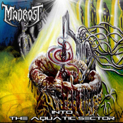 Into The Aquatic Sector