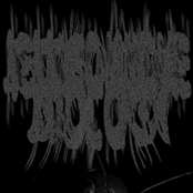 Sounds for the Saltmarsh