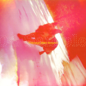 Polyvinyl 2004 Sampler