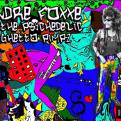 The Psychedelic Ghetto Pimpz