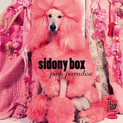 Pink Paradise by Sidony Box