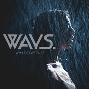 Why Do We Fall? - Single