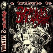 Tribute To 2 Minuta Dreka