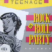 Teenage Rock N Roll Party Volume 3
