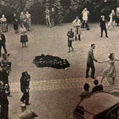 Fruitflies - Single