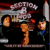 Guilty by Association