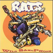 Wild Saxophone