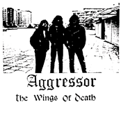 The Wings Of Death