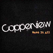 I Want It All - Single