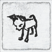 I Believe in Dog