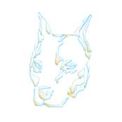 Lost Dog