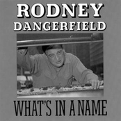 Flying Southern Comfort by Rodney Dangerfield