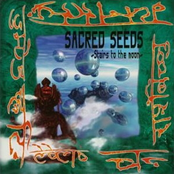 SACRED SEEDS～Stairs to the moon～
