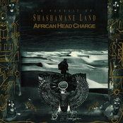 In Pursuit of Shashamane Land