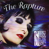 Not Forgotten by Siouxsie And The Banshees