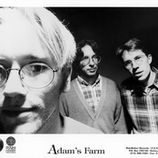 Adam's Farm