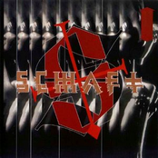 Visual Cortex by Schaft