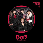 Burning Rose