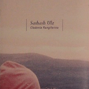 Cladonia Rangiferina