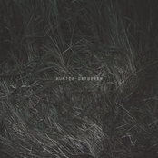 Bone Bleached Wooden Teeth