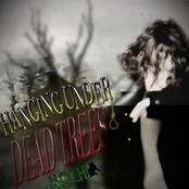 Hanging Under Dead Trees