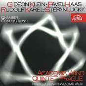 Chamber Compositions