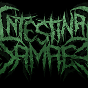 Free Release