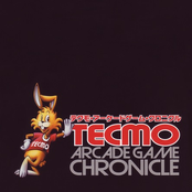 TECMO ARCADE GAME CHRONICLE