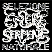 Essere Serpente, Vol.1