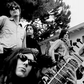 The Brian Jonestown Massacre